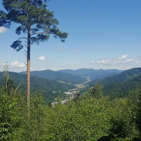 Auszeit Mit Terrasse
